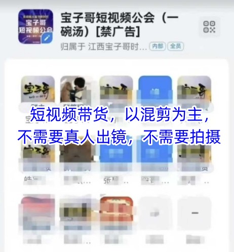 宝子哥头部团队短视频带货，以混剪为主，不需要真人出镜，不需要拍摄【更新11月】-优优云网创