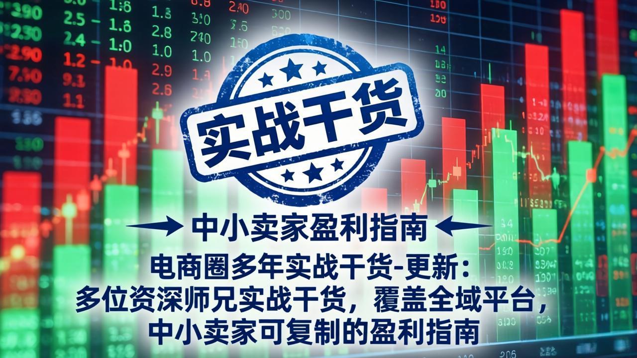 电商圈多年实战干货-更新5月10：多位资深师兄实战干货/覆盖全域平台，中小卖家可复制的盈利指南-优优云网创