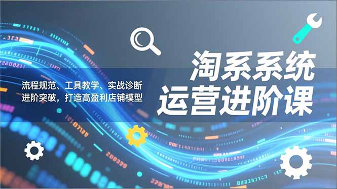淘系系统运营进阶课2.0，流程规范、工具教学、实战诊断，进阶突破，打造高盈利店铺模型-优优云网创