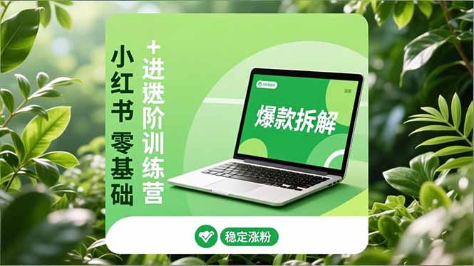 小红书零基础+高阶训练营:安全养号、爆款拆解、长效运营,实现稳定涨粉与变现-优优云网创