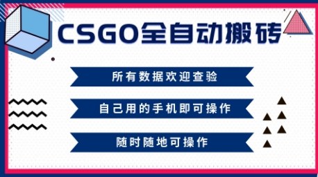 CSGO全自动搬砖，年底钱回家好项目，当天可拿到结果，新手小白轻松月入1W+【揭秘】-云网创