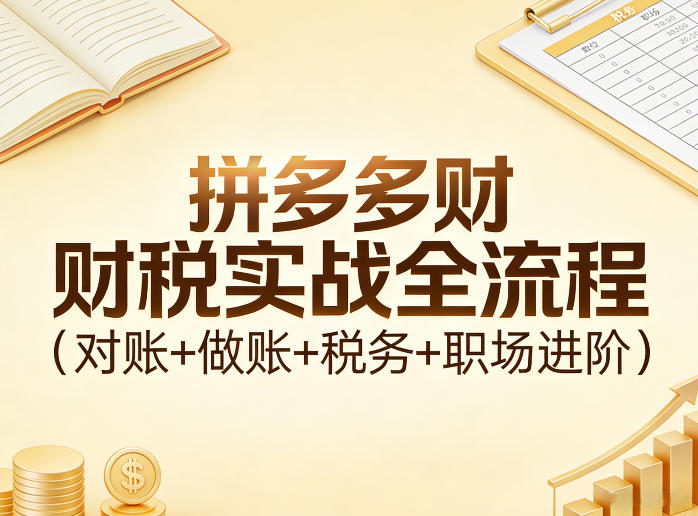 拼多多财税实战全流程(对账+做账+税务+职场进阶)-优优云网创