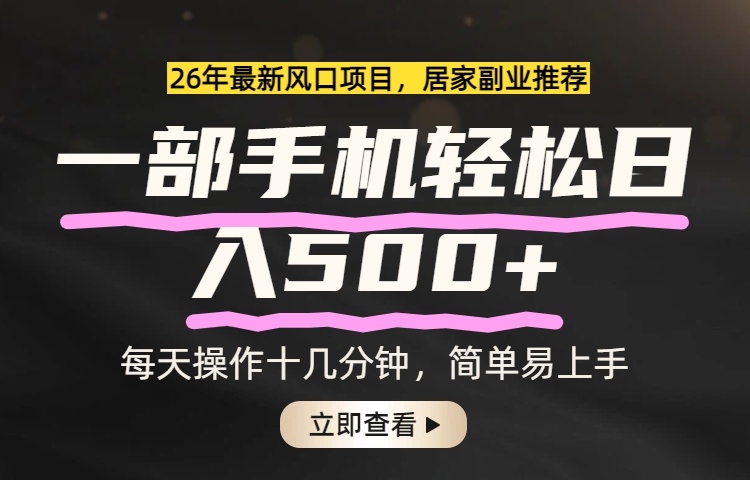 26年居家副业首选，一部手机轻松日入500+，长期稳定可做-优优云网创