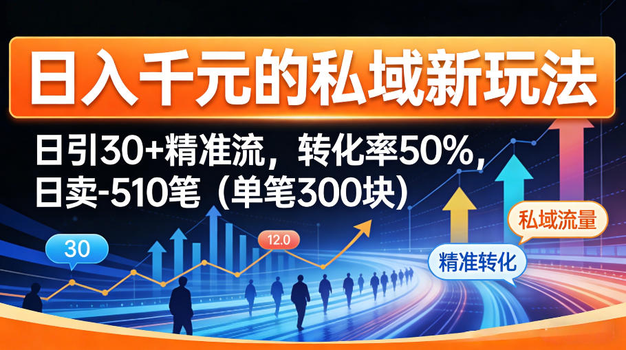 日入千米的私域新玩法：日引30＋精准流，转化率50%，日卖5-10笔(单笔300米)-优优云网创