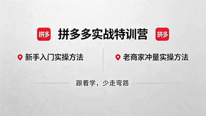 拼多多实战特训营(更新5月3-优优云网创