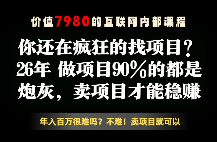 26年请不要疯狂的找项目了，卖项目远比你想象的暴利，你也可以月入10W+【揭秘】-优优云网创