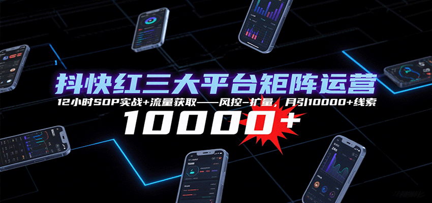 图片[1]-抖快红三大平台矩阵运营，12小时SOP实战+流量获取-风控-扩量，月引10000+线索-优优云网创