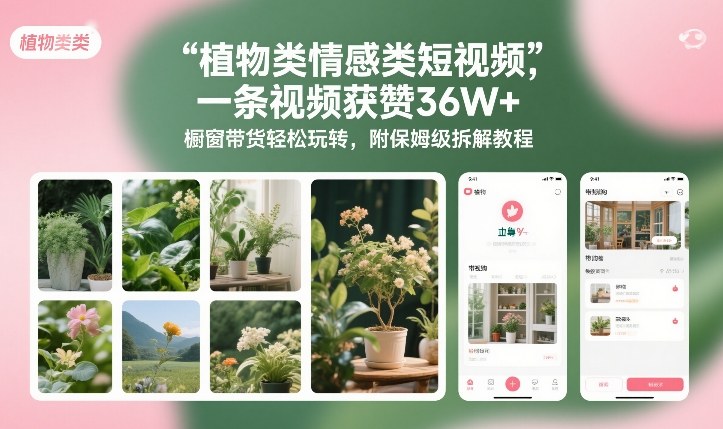 植物类情感类短视频，一条视频获赞36W+，橱窗带货轻松玩转，附保姆级拆解教程-优优云网创