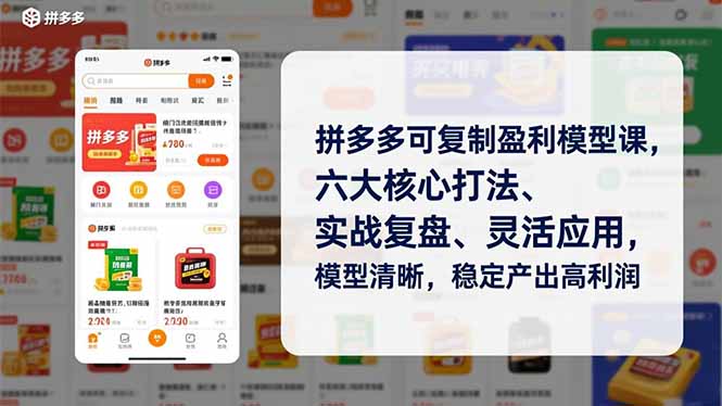 拼多多可复制盈利模型课，六大核心打法、实战复盘、灵活应用，模型清晰，稳定产出高利润-优优云网创