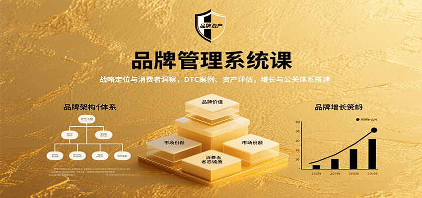 图片[1]-品牌管理系统课：战略定位与消费者洞察，DTC案例、资产评估，增长与公关体系搭建-优优云网创