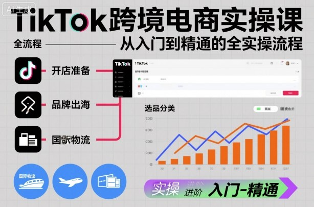 TikTok跨境电商实操课，从入门到精通的全实操流程-云网创
