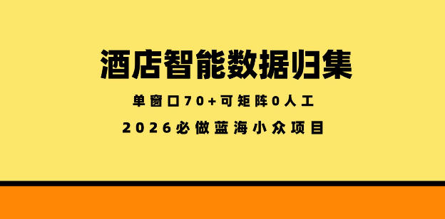 酒店智能数据归集，小众蓝海已经稳定半年之久，单窗口70+零成本矩阵开干【揭秘】-优优云网创