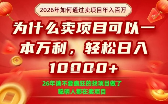 一单净利润1K+，26年想年入100个W，死磕卖项目就够了【揭秘】-优优云网创