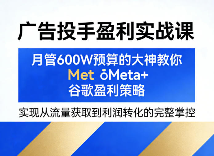 广告投手盈利实战课，月管600W预算的大神教你Meta+谷歌盈利策略，实现从流量获取到利润转化的完整掌控-优优云网创