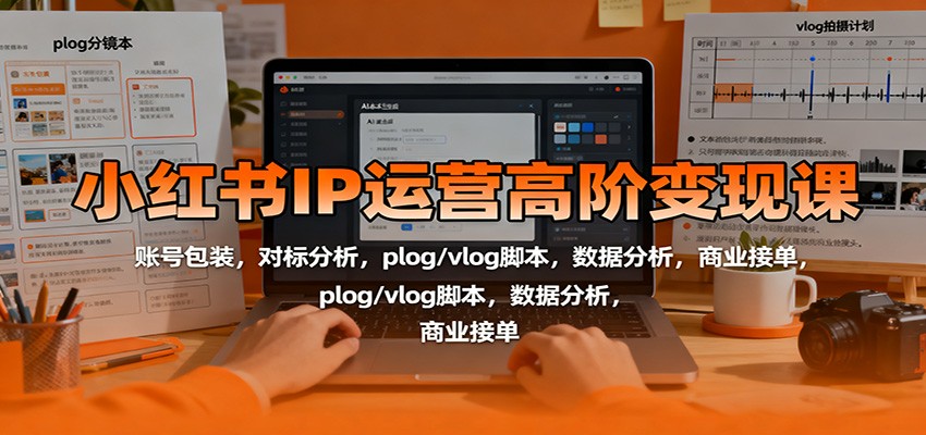 小红书IP运营高阶变现课:账号包装,对标分析,plog/vlog脚本,数据分析,商业接单-云网创