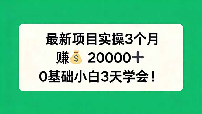 最新项目实操3个月，赚钱20000+，0基础小白3天学会！-优优云网创