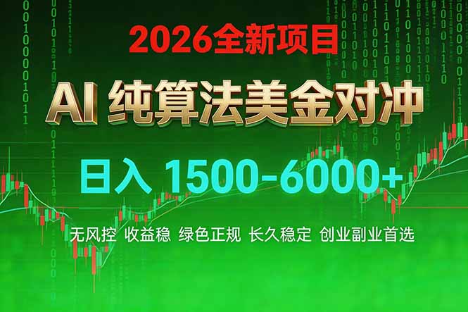 2026 全新美金对冲项目,不套平台赠金,不封号,纯算法对冲,日入 1500-6000+-优优云网创