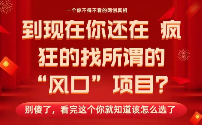 马上26年了，你还在找所谓的风口项目？别傻了，看完这个你全都懂了！【揭秘】-优优云网创