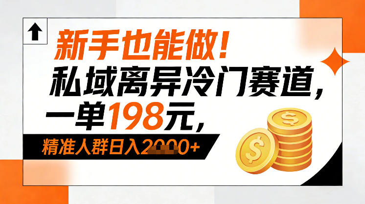 新手也能做！私域离异冷门赛道，一单198，精准人群日入1k+-优优云网创